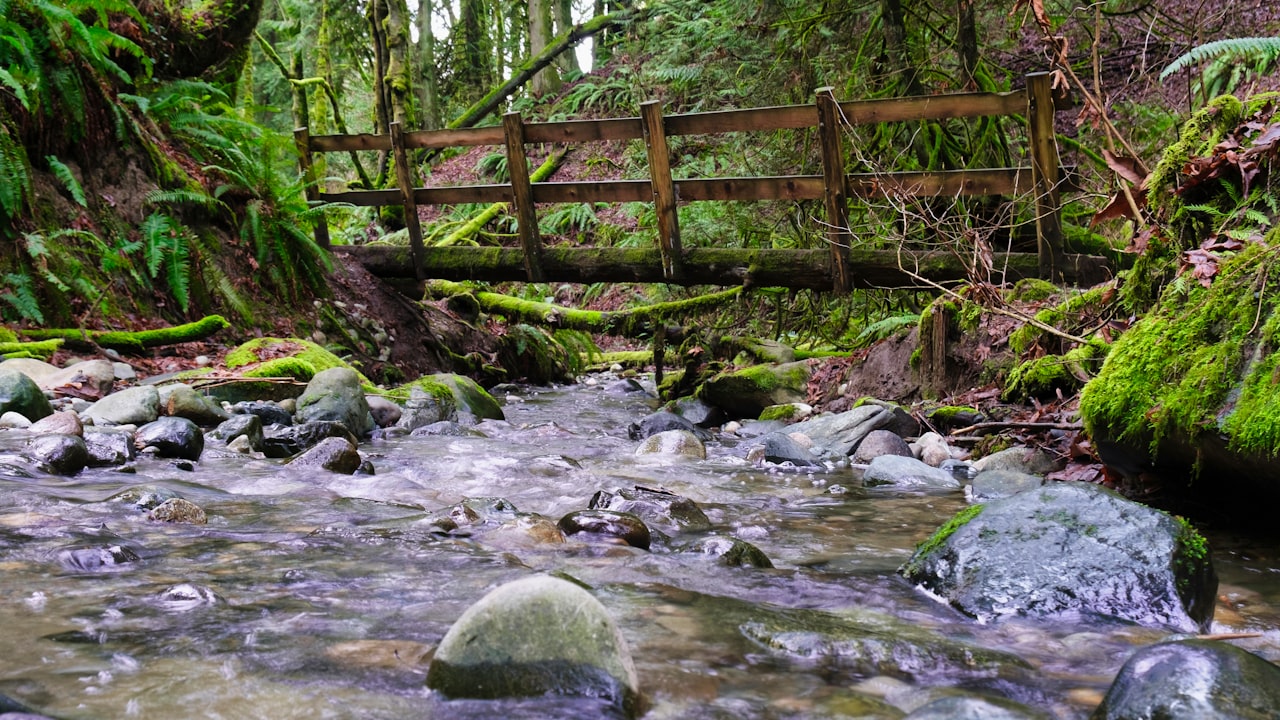 The Best Pressure Washer You Can Ever Ask With Ultimate Features