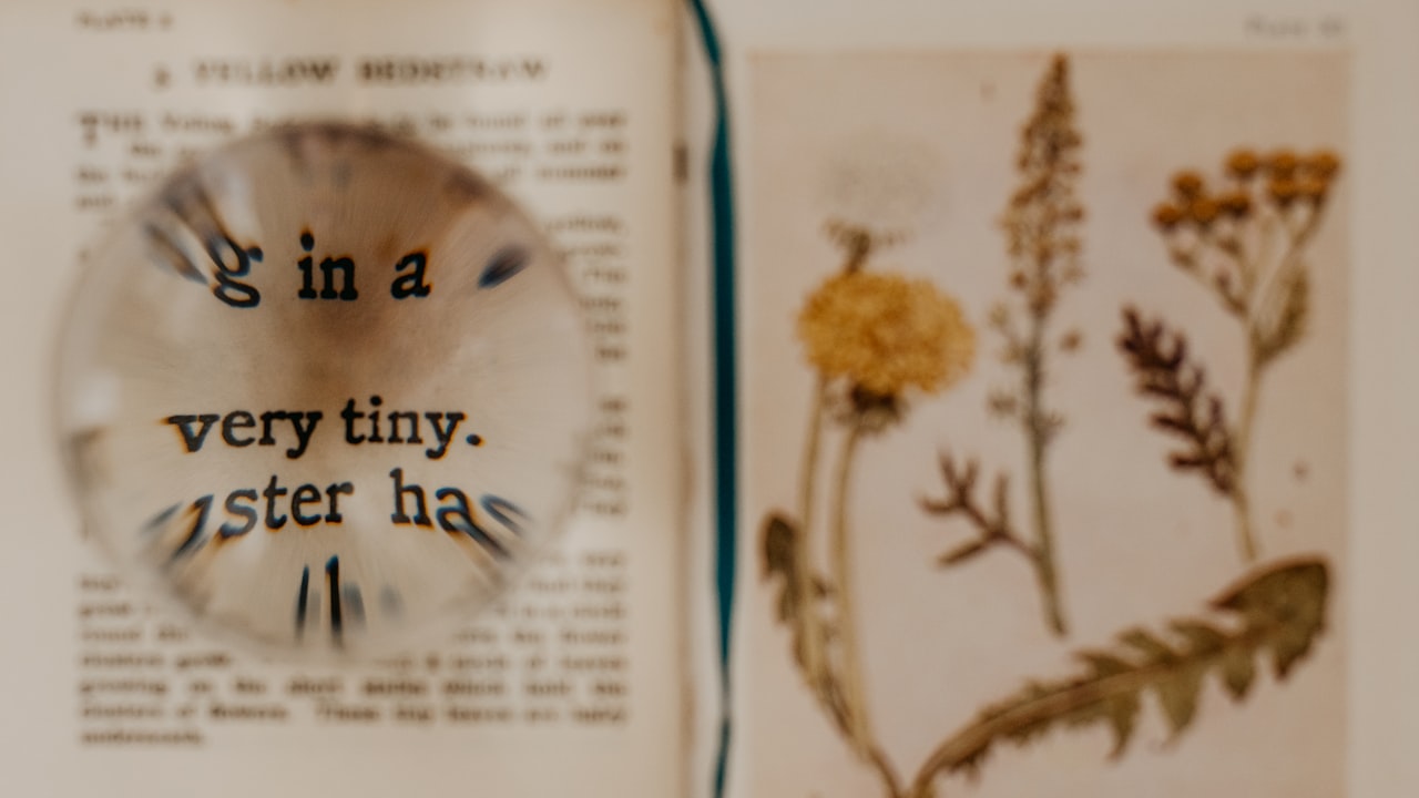 The Best Small Pod Suggestion You Won’t Ignore