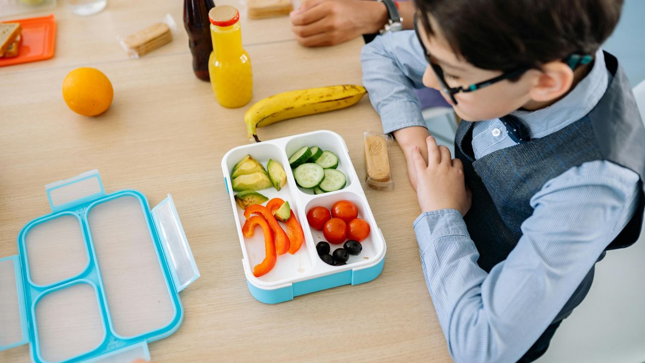 Top Benefits of Stainless Steel Lunch Boxes for Everyday Use
